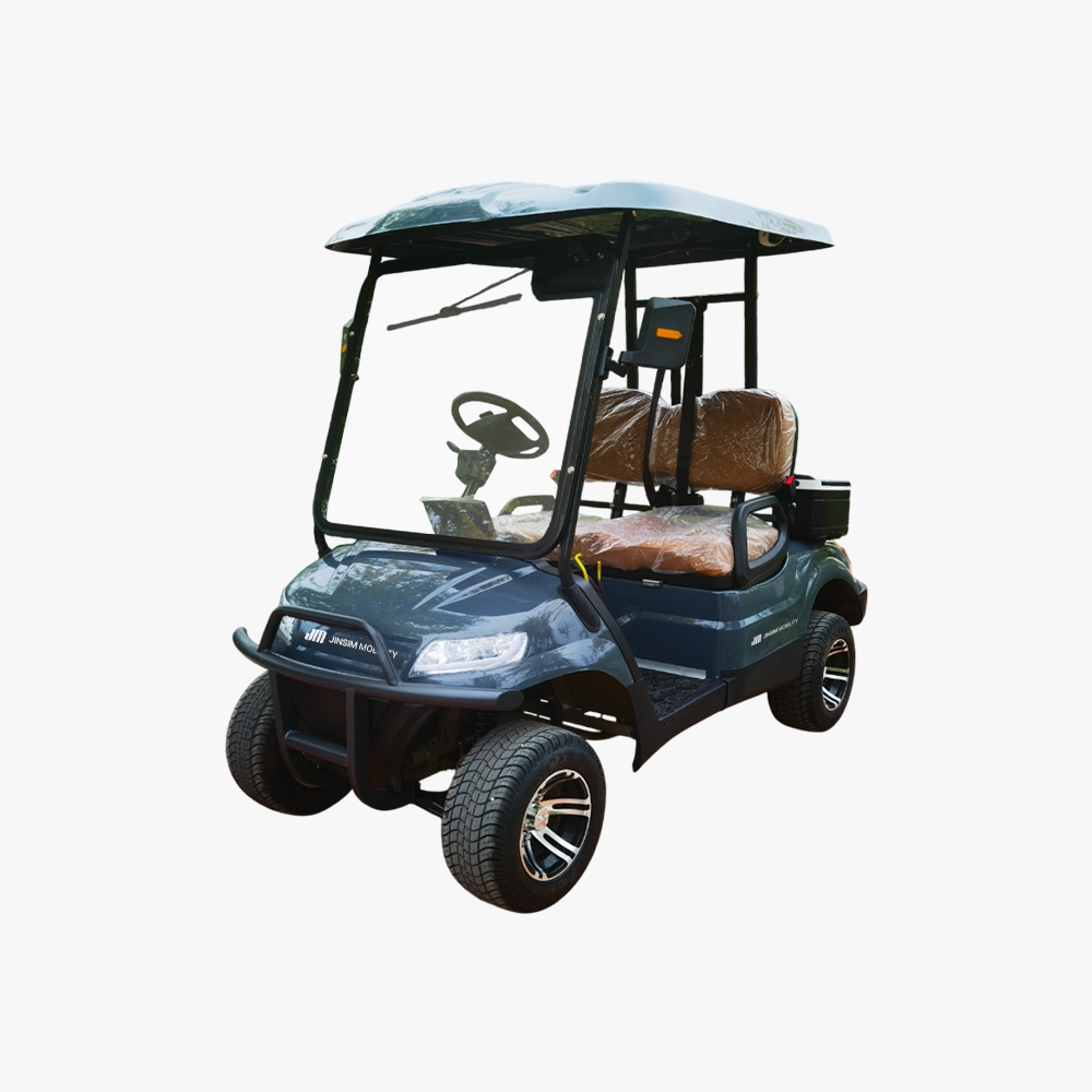 골프카트 2인승