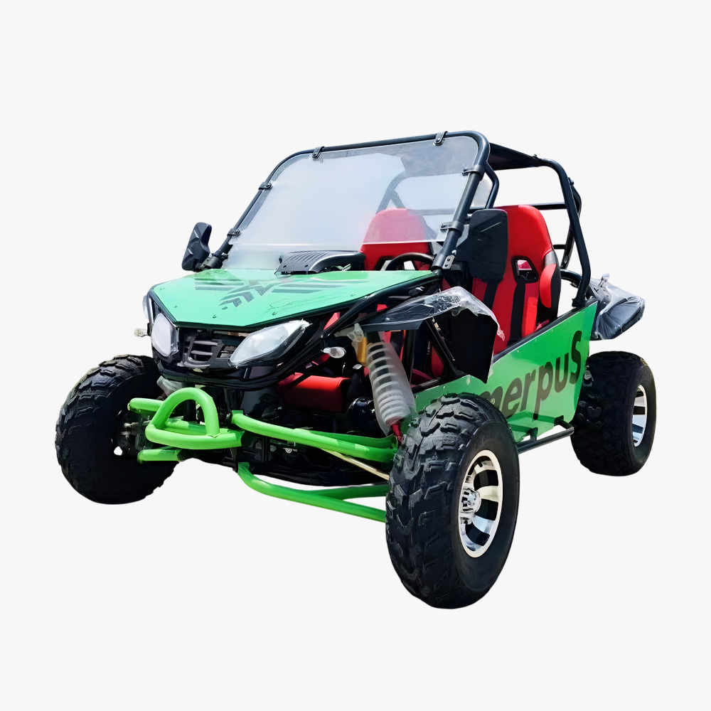 프로 UTV 2인승 (EV/3000W)