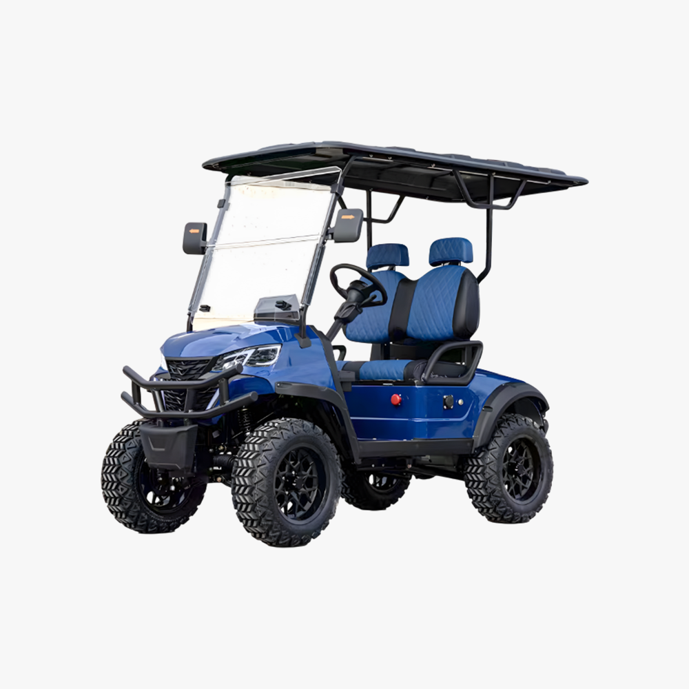 럭셔리 카트 2인승