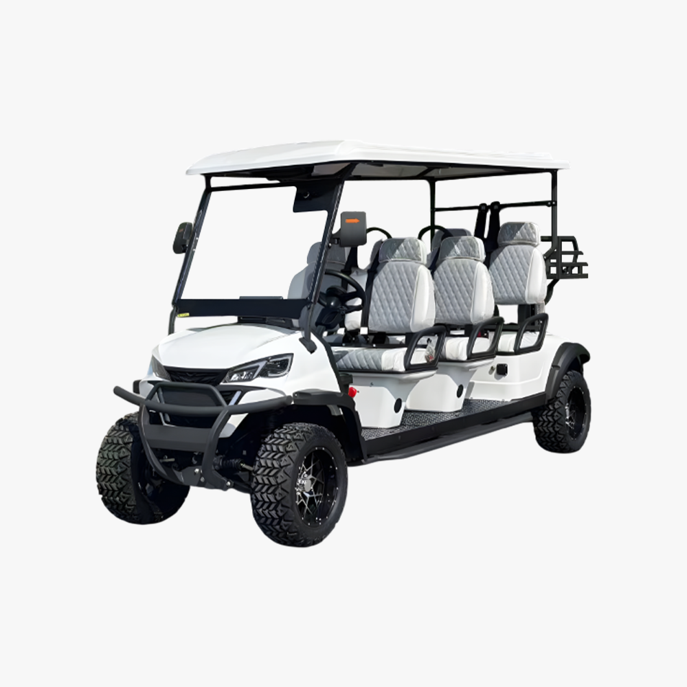 럭셔리 카트 6인승